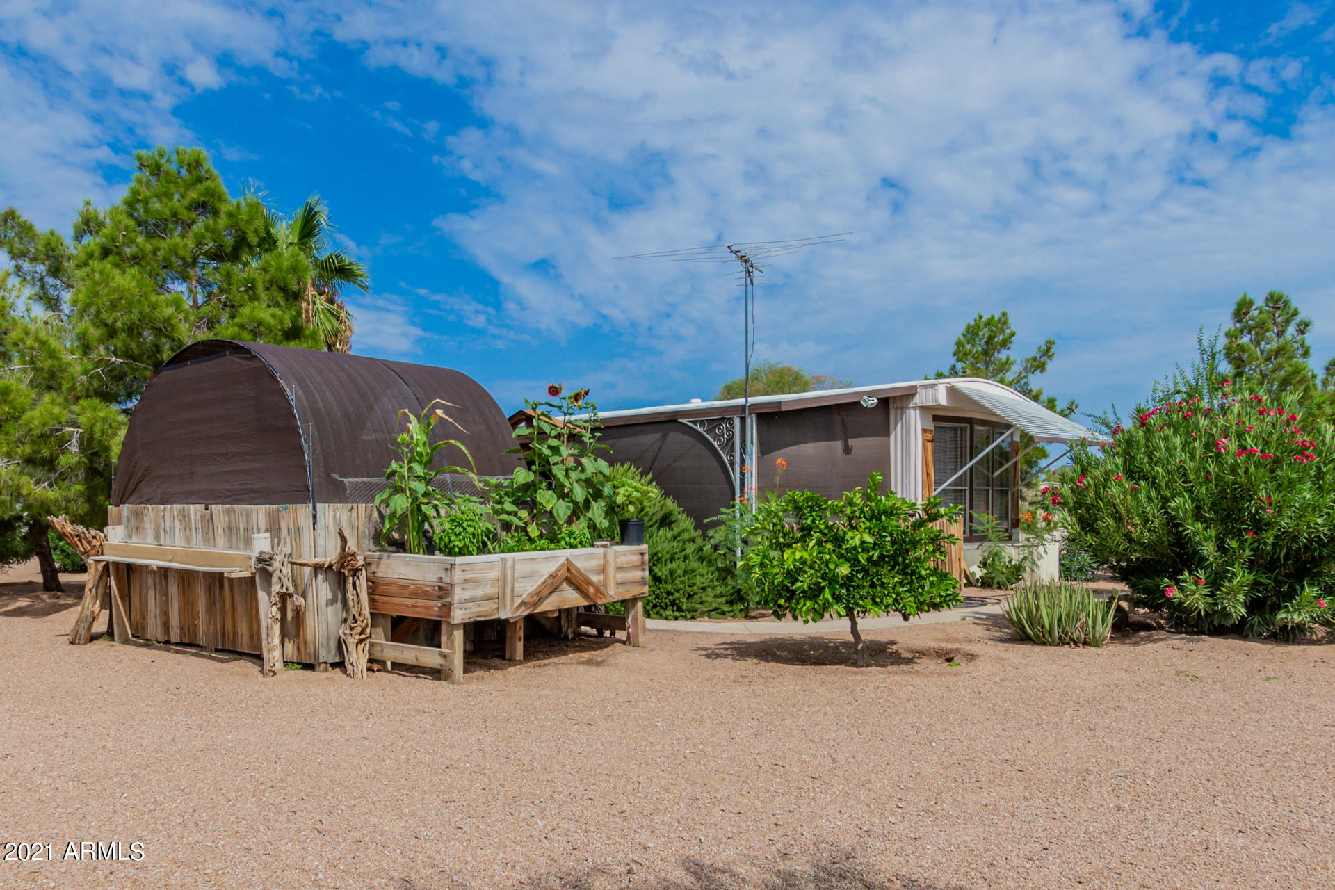 160 South Acacia Road Apache Junction, AZ 85119 - Photo 3 of 23 03 - Acacia
