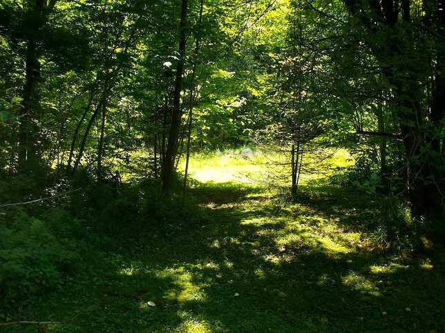 365 Hancock Pond Road Embden, ME 04958 - Photo 21 of 25 Land.