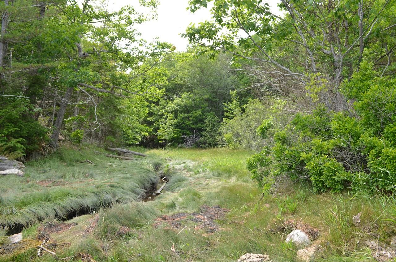 M03-l72 River Road Newcastle, ME 04553 - Photo 5 of 7 013