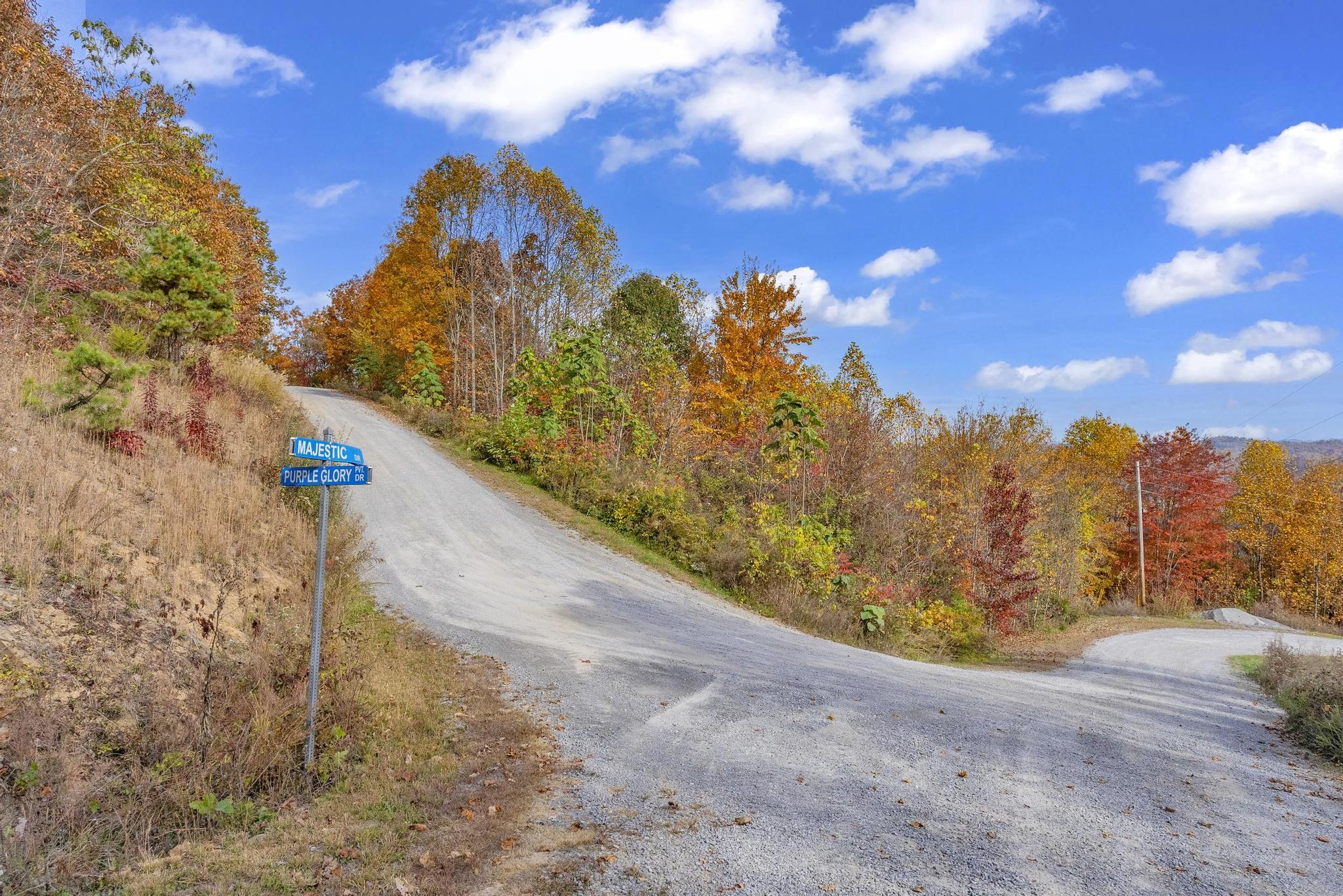 Tbd Purple Glory Drive Duffield, VA 24244 - Photo 2 of 3 View