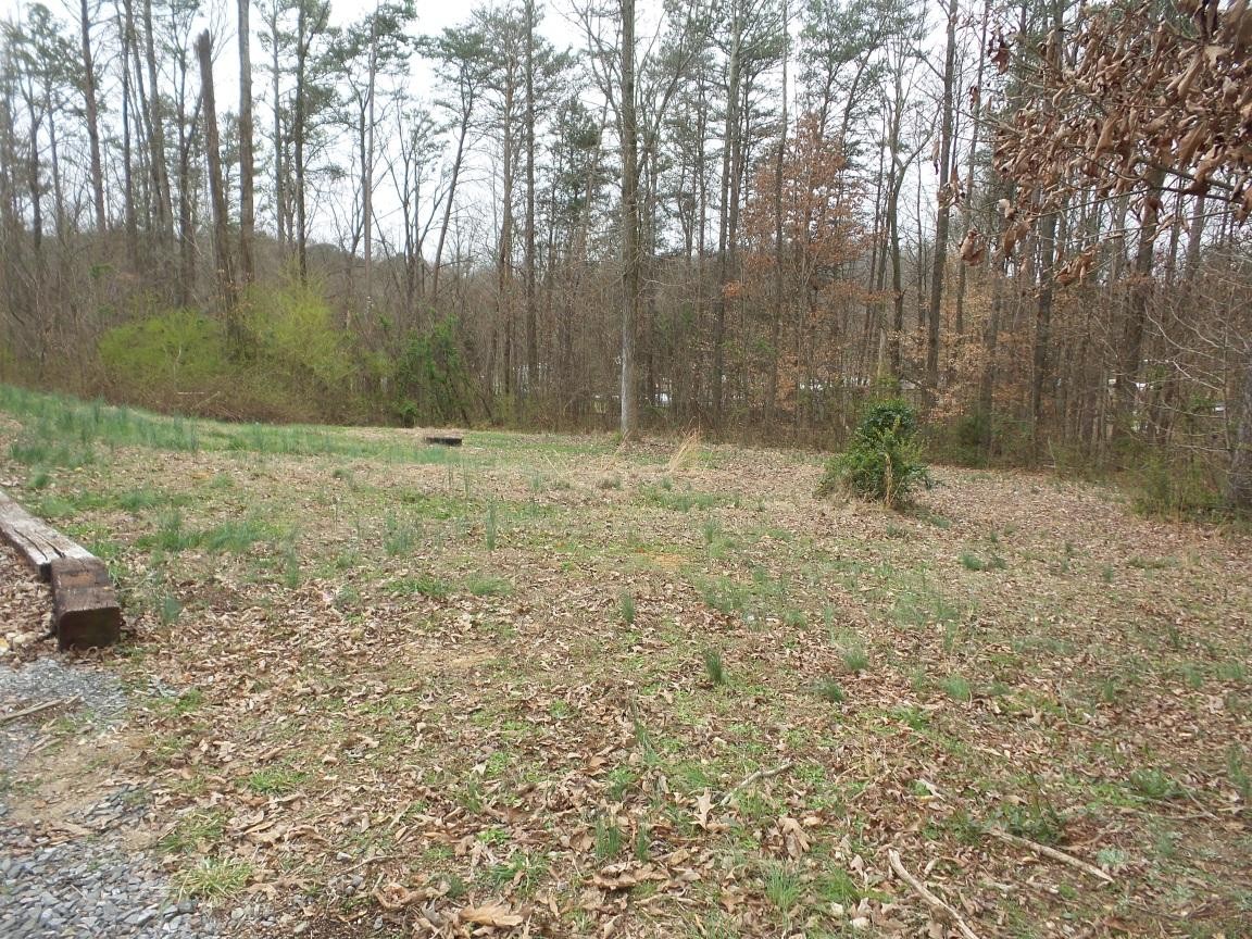 145 Beech Springs Road Ocoee, TN 37361 - Photo 21 of 36 Gallery Image 21