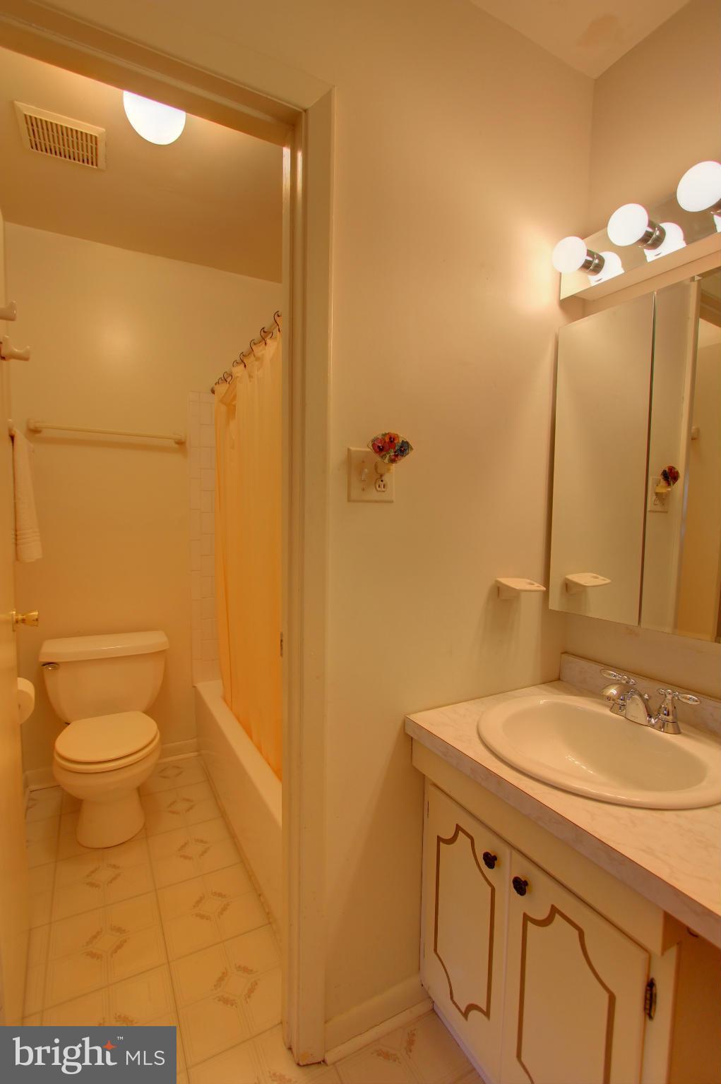 9636 Rocksparkle Row Columbia, MD 21045 - Photo 21 of 30 Bath (Master)