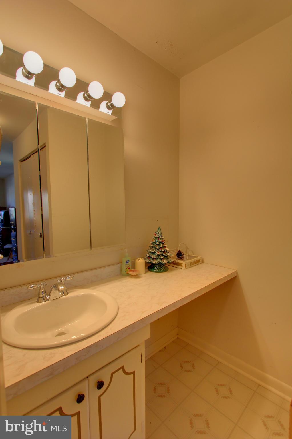 9636 Rocksparkle Row Columbia, MD 21045 - Photo 22 of 30 Bath (Master)