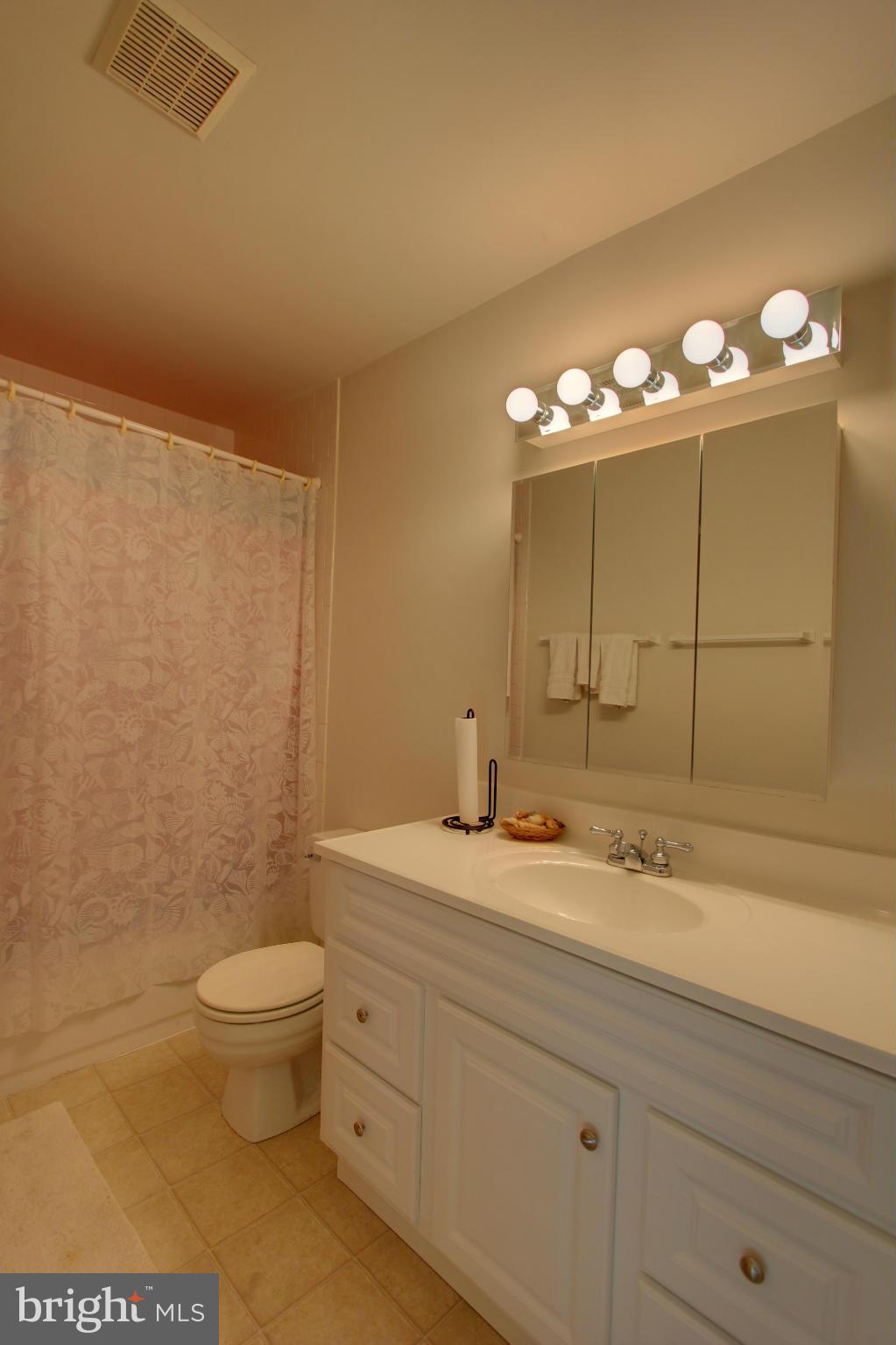 9636 Rocksparkle Row Columbia, MD 21045 - Photo 26 of 30 Bath