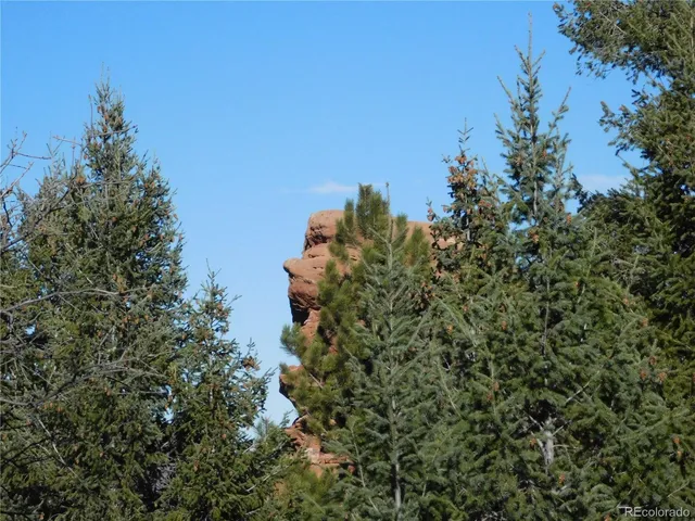 a view of a backyard of a house