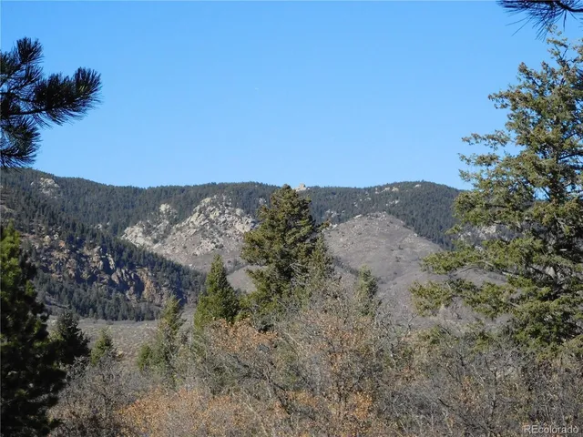 a view of a forest with trees