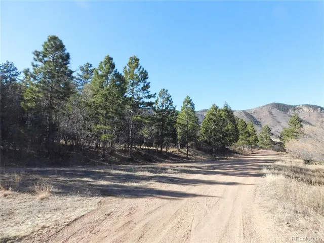 a view of a dry field with lots of bushes