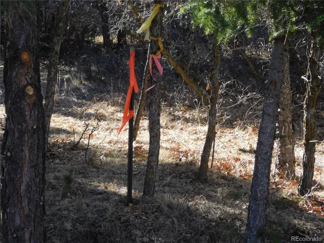 a view of a yard with wooden fence