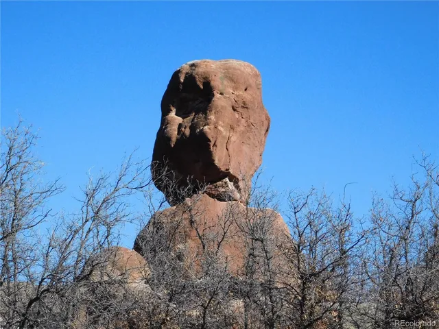 a view of a small yard