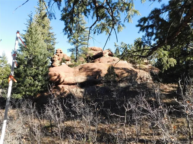 a picture of plants and covered with trees