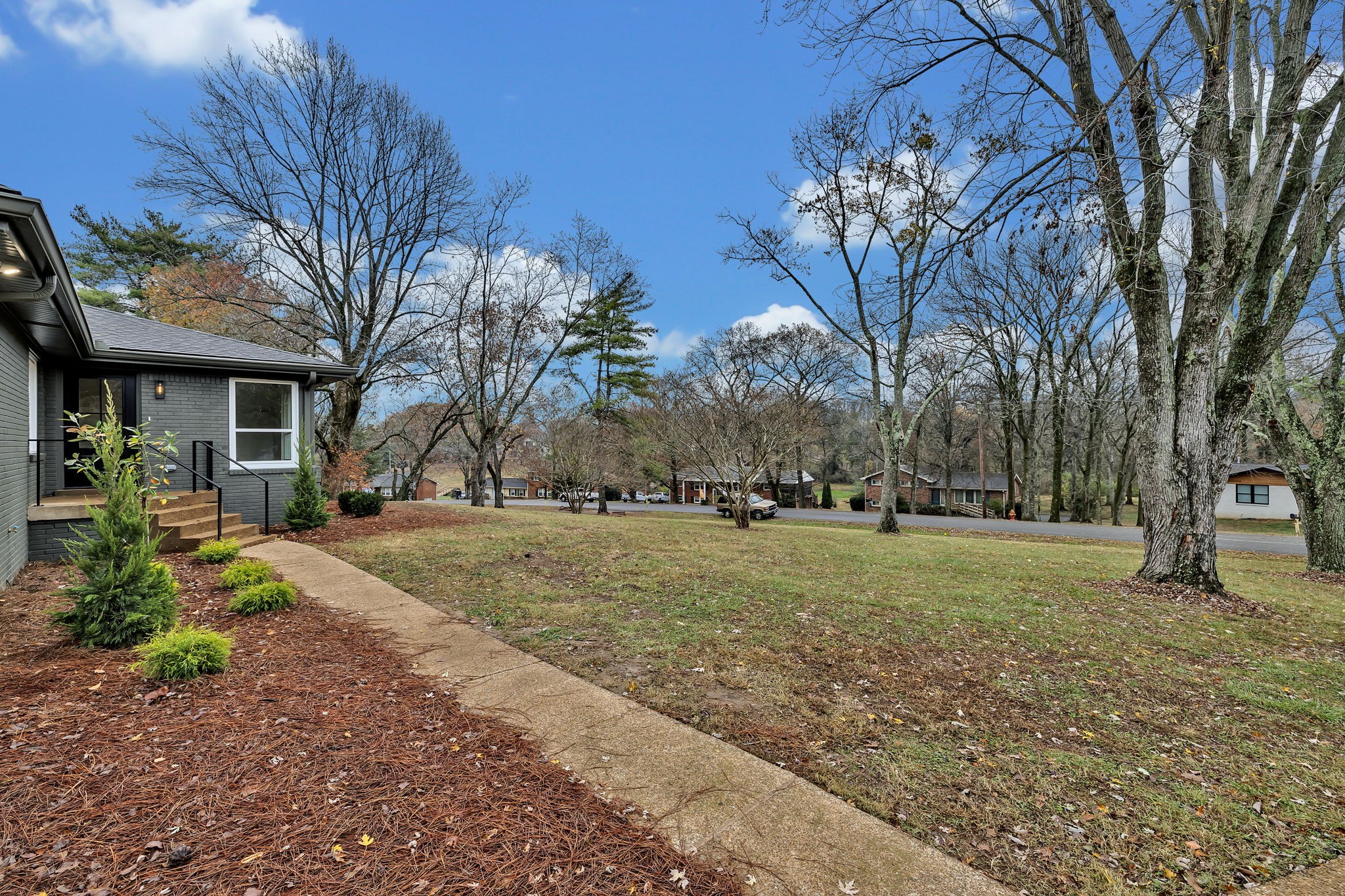 5315 Anchorage Drive Nashville, TN 37220 - Photo 3 of 38 a view of road with large trees