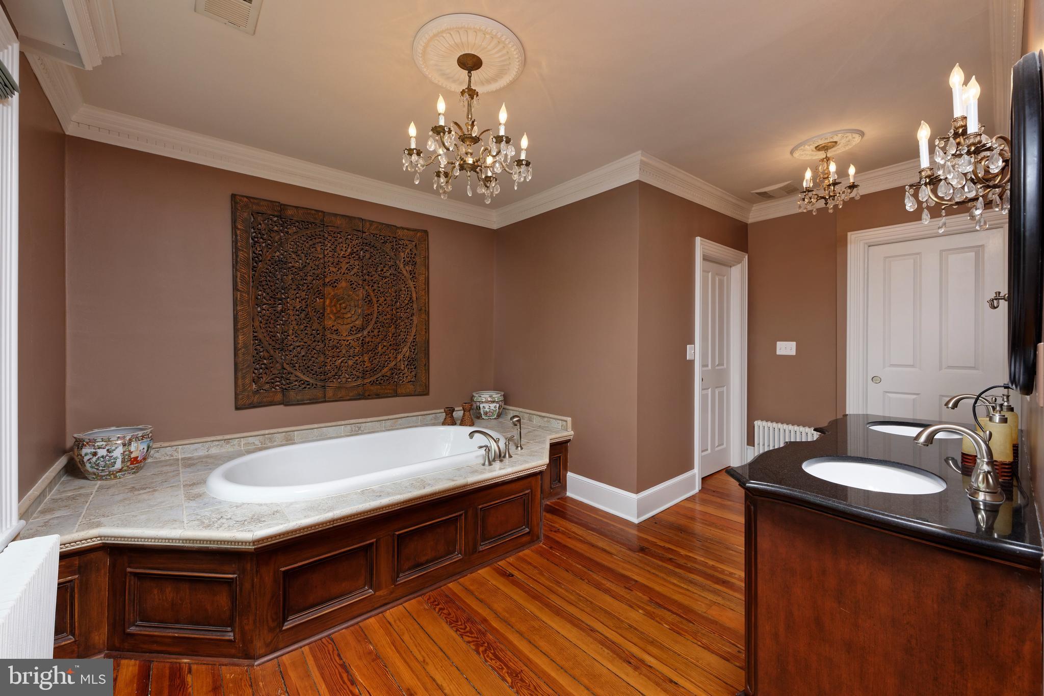 5299 Keyser Road Hume, VA 22639 - Photo 33 of 64 Soaking tub in 2nd primary bath w/ upgraded light