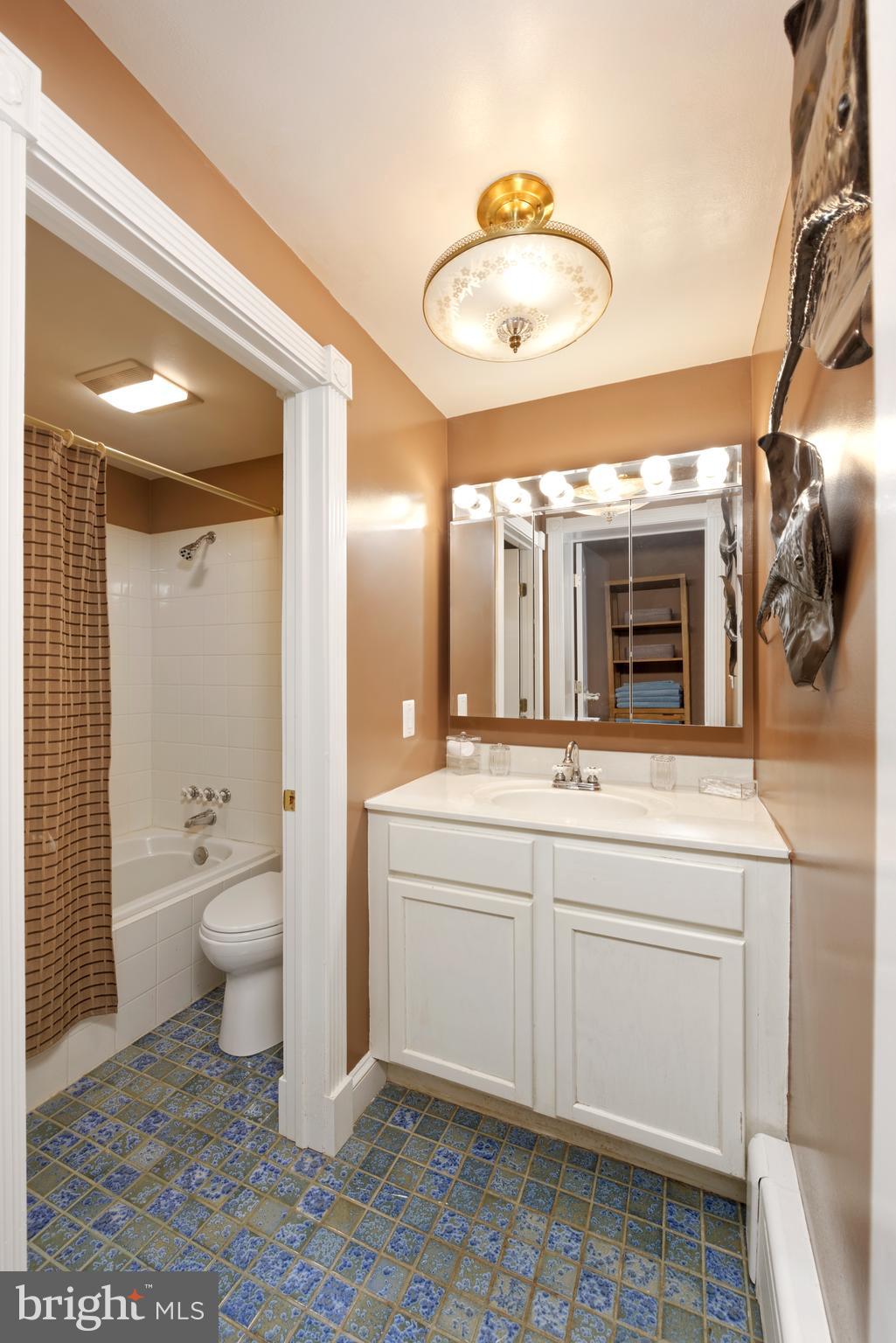 5299 Keyser Road Hume, VA 22639 - Photo 35 of 64 Bathroom off Guest Bedroom #3
