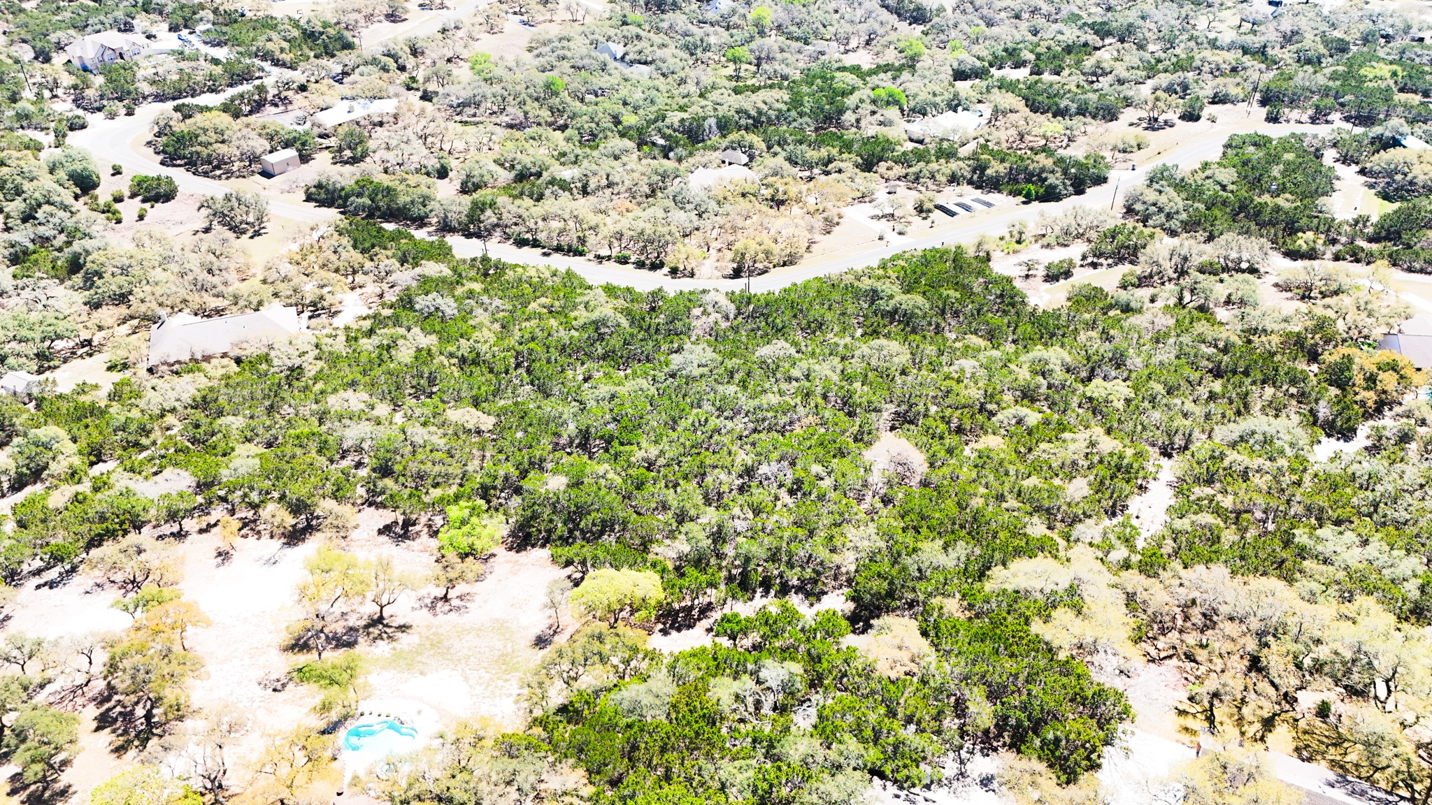 2445 Smoke Rise Canyon Bulverde, TX 78163 - Photo 13 of 13 a view of a large tree