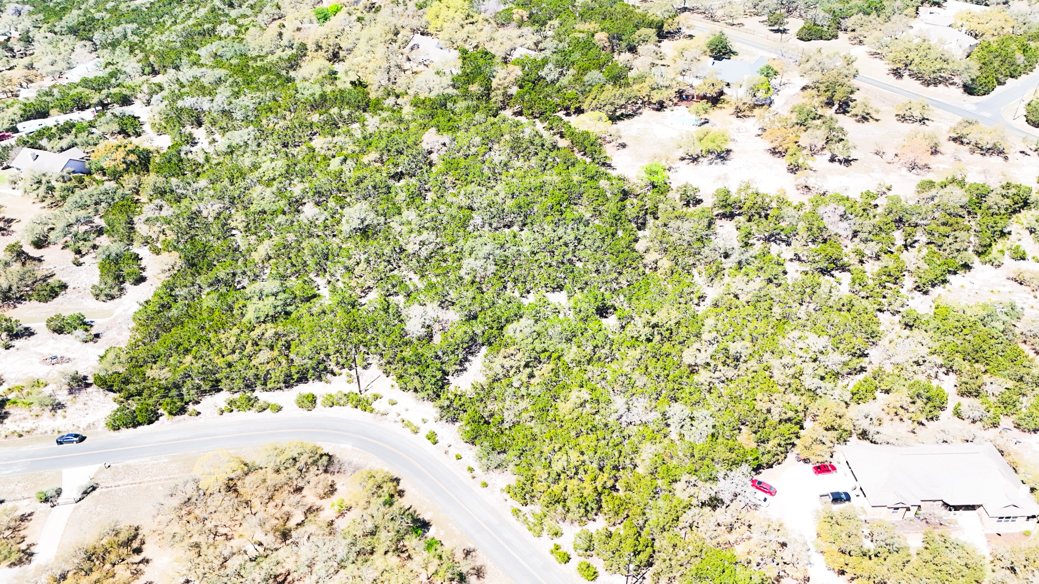 2445 Smoke Rise Canyon Bulverde, TX 78163 - Photo 2 of 13 a view of a yard with a trees
