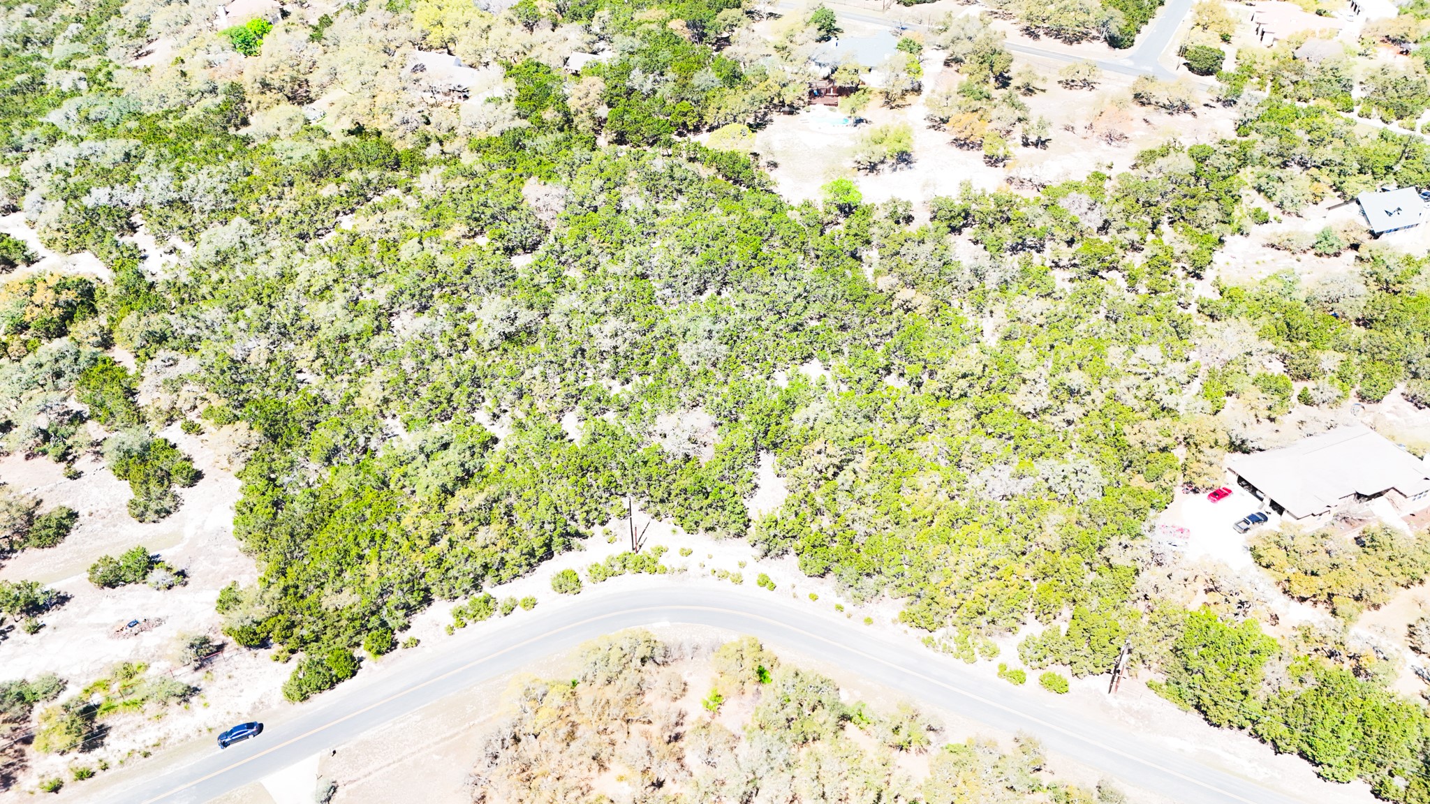 2445 Smoke Rise Canyon Bulverde, TX 78163 - Photo 6 of 13 a view of a plant in a garden
