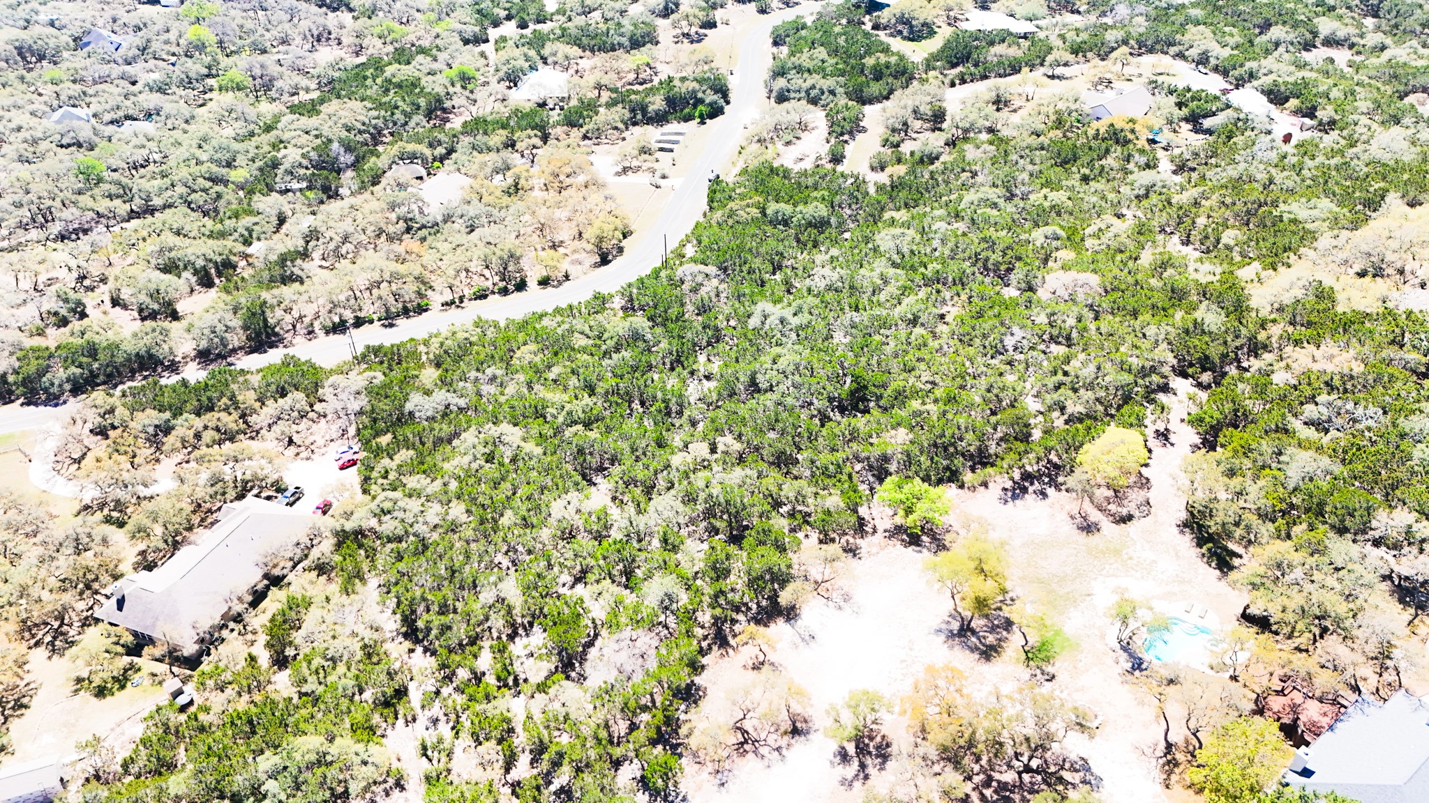 2445 Smoke Rise Canyon Bulverde, TX 78163 - Photo 8 of 13 a view of a tree with a plant