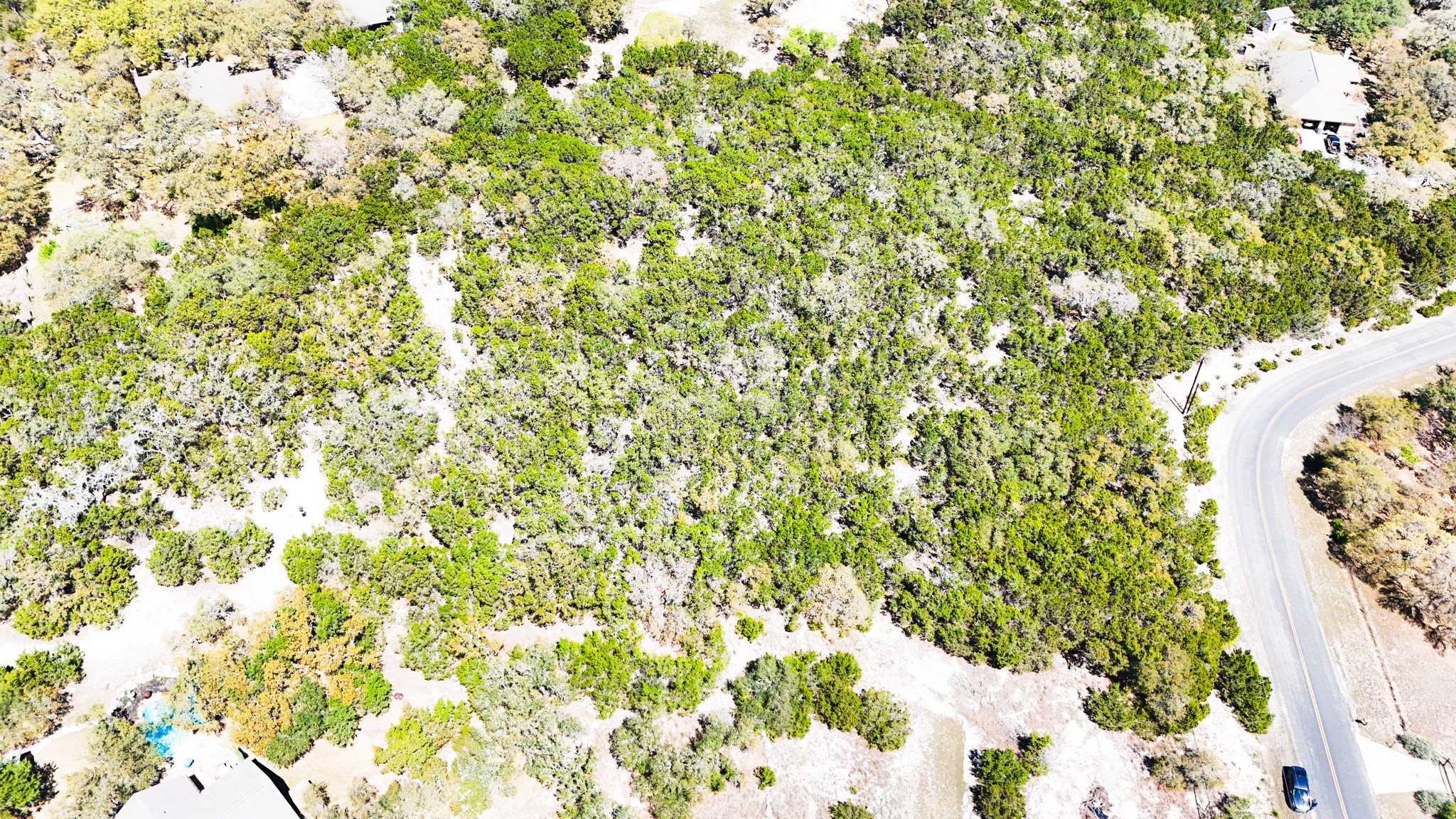 2445 Smoke Rise Canyon Bulverde, TX 78163 - Photo 10 of 13