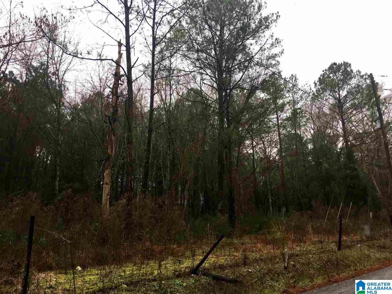 1245 Eureka Road, Unit 2 Lincoln, AL 35096 - Photo 15 of 32