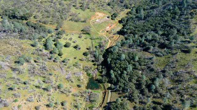 a view of a dry yard with green space