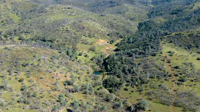 a view of a dry yard with trees
