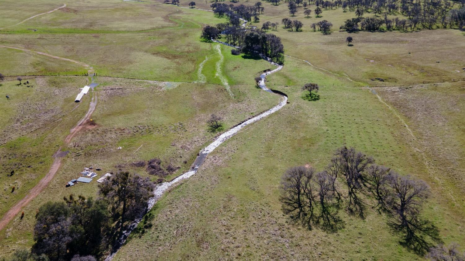 0 3 Hunt Road Farmington, CA 95228 - Photo 15 of 22 a view of a dry yard with trees