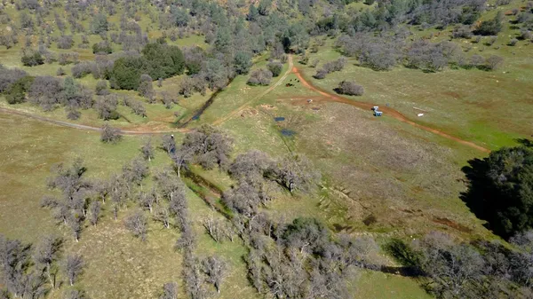 a view of a forest with trees