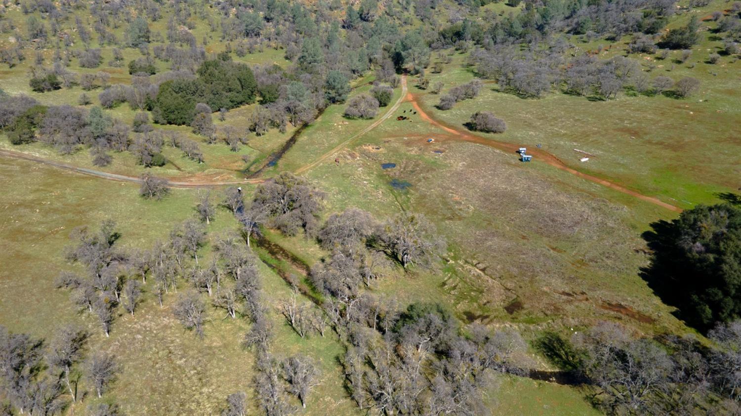 0 3 Hunt Road Farmington, CA 95228 - Photo 16 of 22 a view of a field with trees in the background