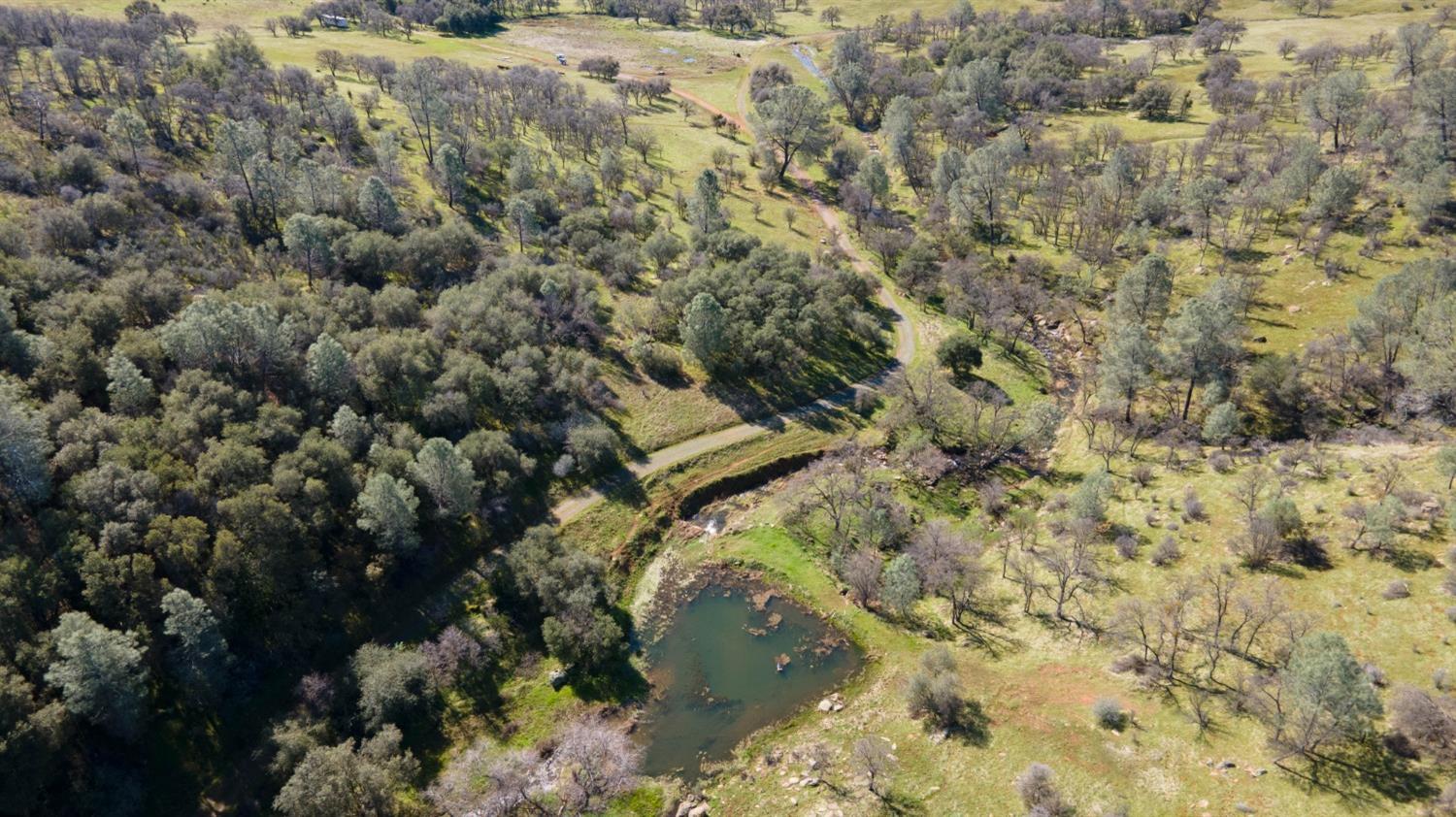 0 3 Hunt Road Farmington, CA 95228 - Photo 17 of 22 a view of a forest with trees