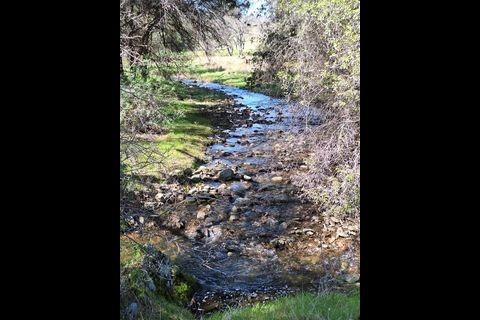0 3 Hunt Road Farmington, CA 95228 - Photo 19 of 22 a view of a yard