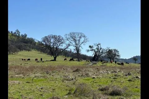 a view of a lake in middle of forest