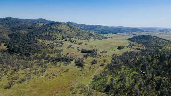 a view of a forest with mountains in the background