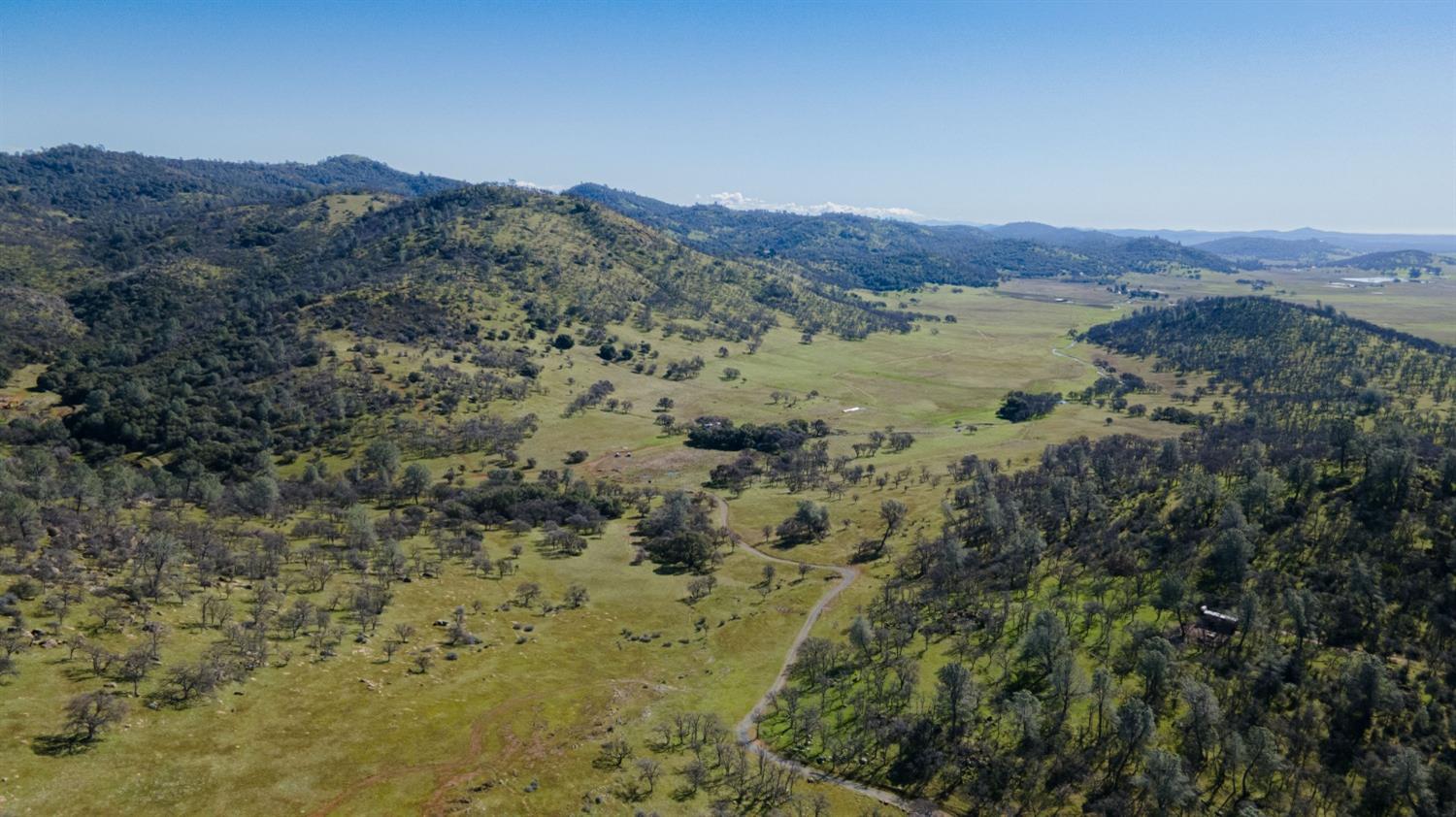 0 3 Hunt Road Farmington, CA 95228 - Photo 3 of 22 a view of a forest with mountains in the background