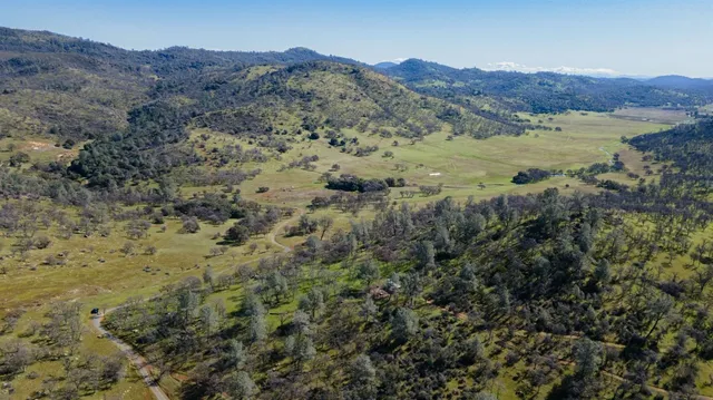 a view of a forest with mountains in the background