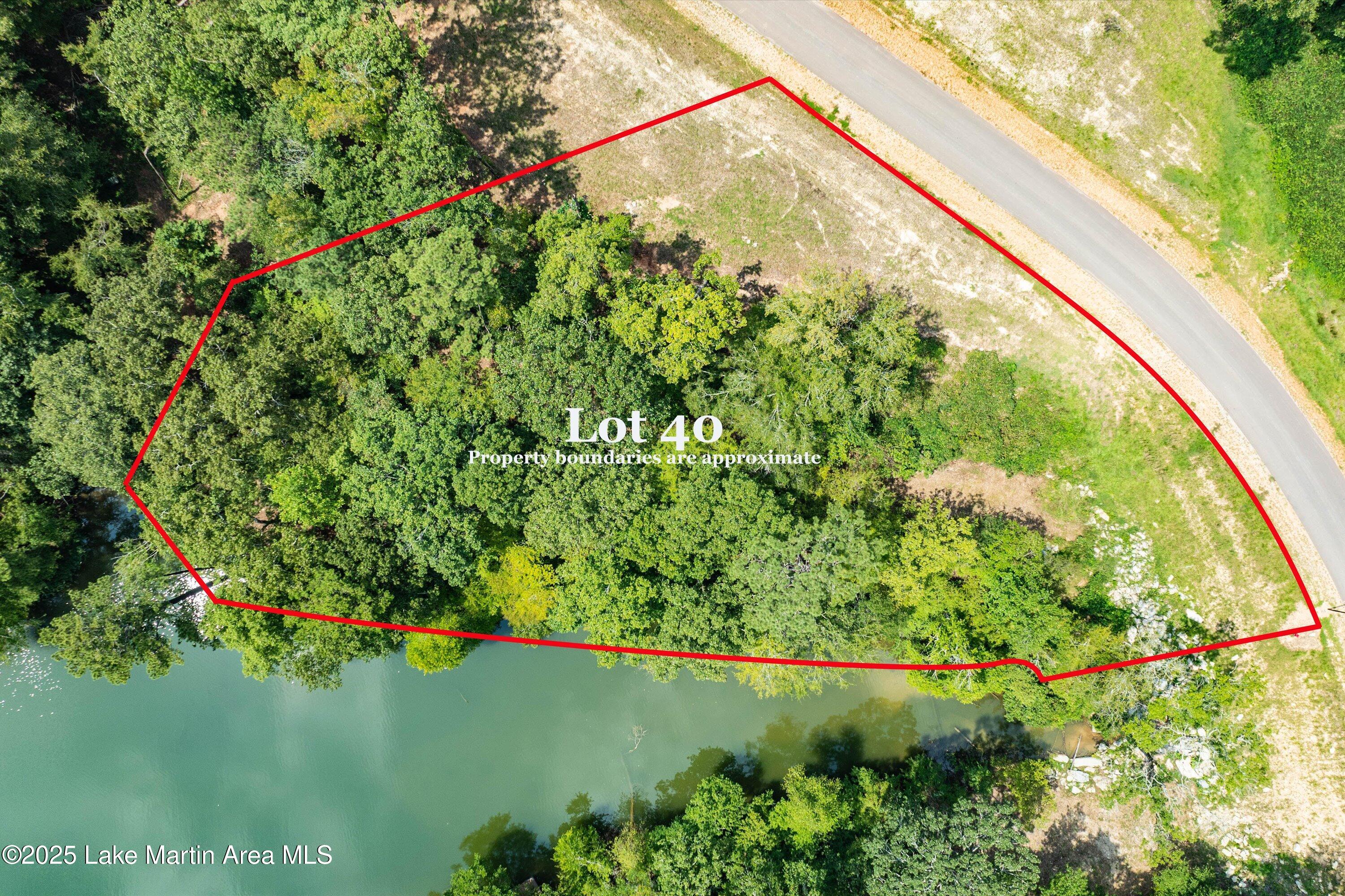 2463 Sturdivant Road Jacksons Gap, AL 36861 - Photo 4 of 7 10-Lot 40 aerial
