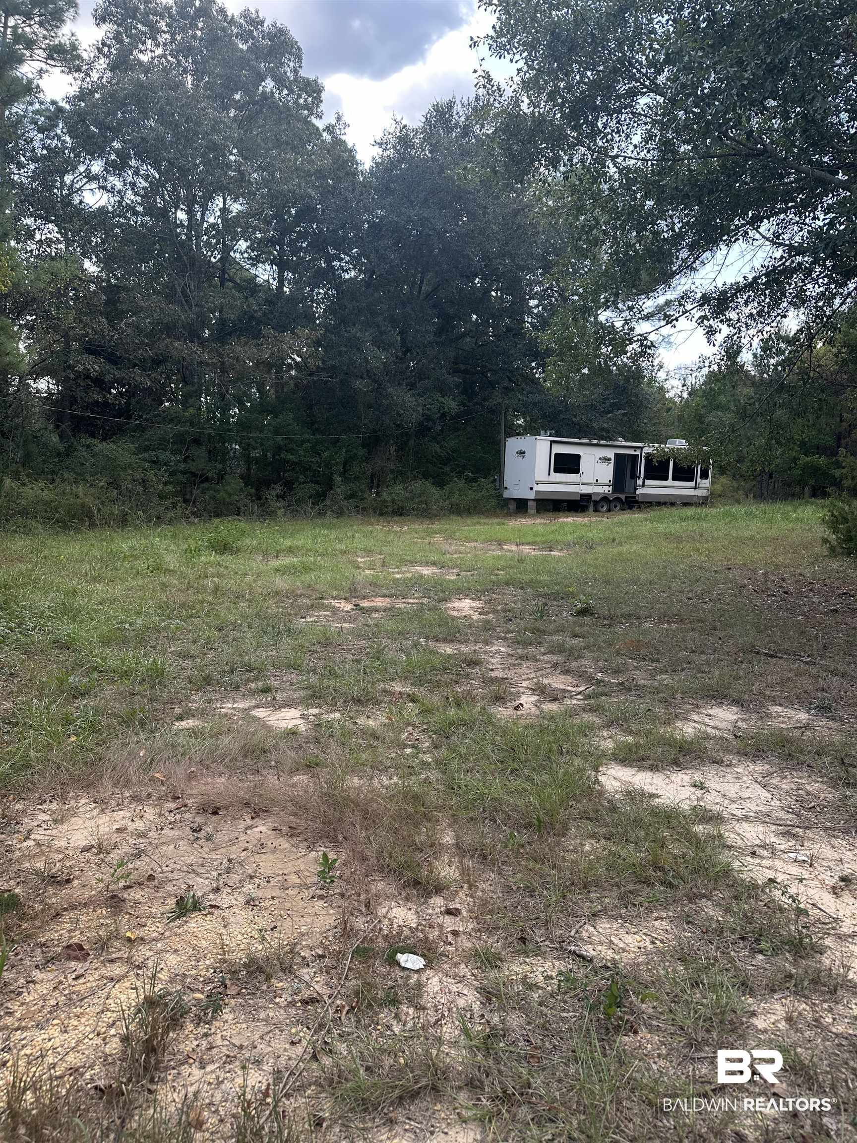 36291 County Road 39 Stapleton, AL 36578 - Photo 2 of 3 View of yard