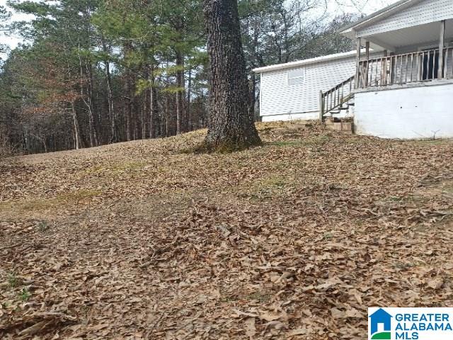1481 Campbell Loop Road Mount Olive, AL 35117 - Photo 2 of 20