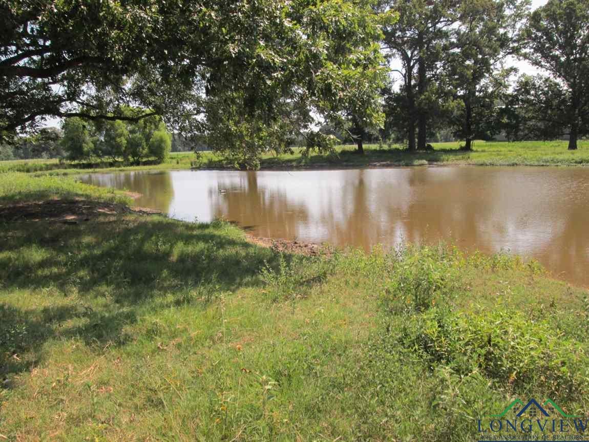 1156 Will Smith Road Longview, TX 75605 - Photo 20 of 25 Gallery Image 20