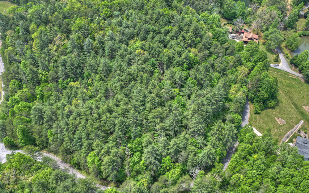 Colwell Church Road Epworth, GA 30541 - Photo 2 of 4 Additional View