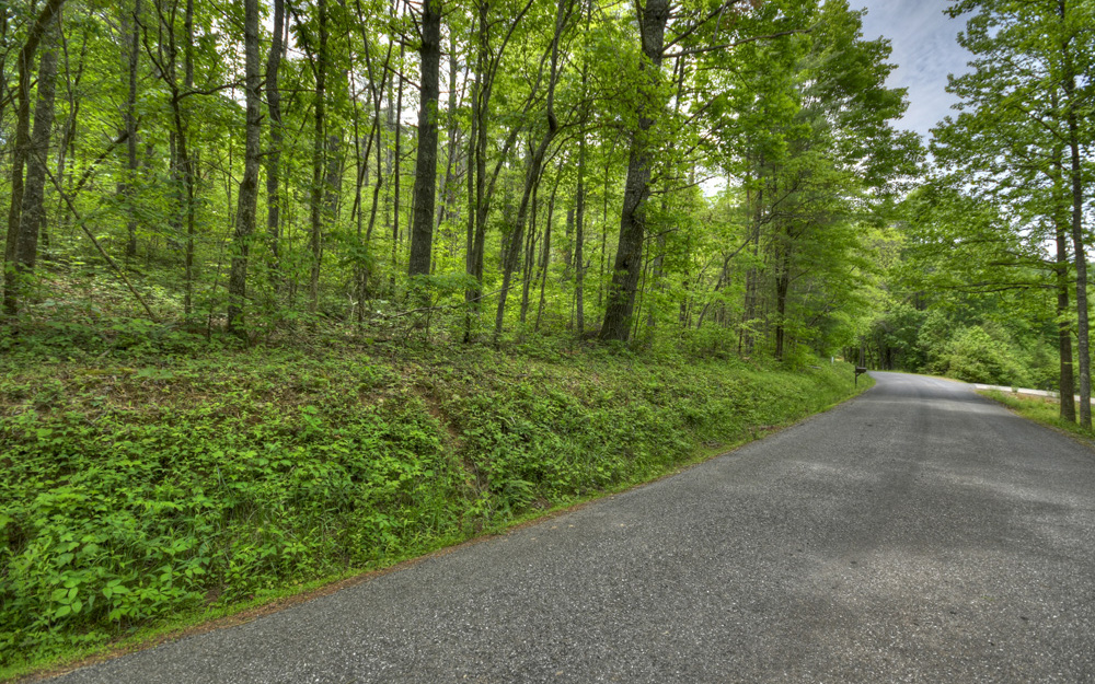 Colwell Church Road Epworth, GA 30541 - Photo 3 of 4 Additional View