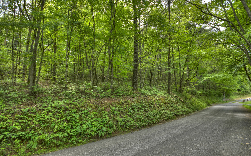 Colwell Church Road Epworth, GA 30541 - Photo 4 of 4 Additional View