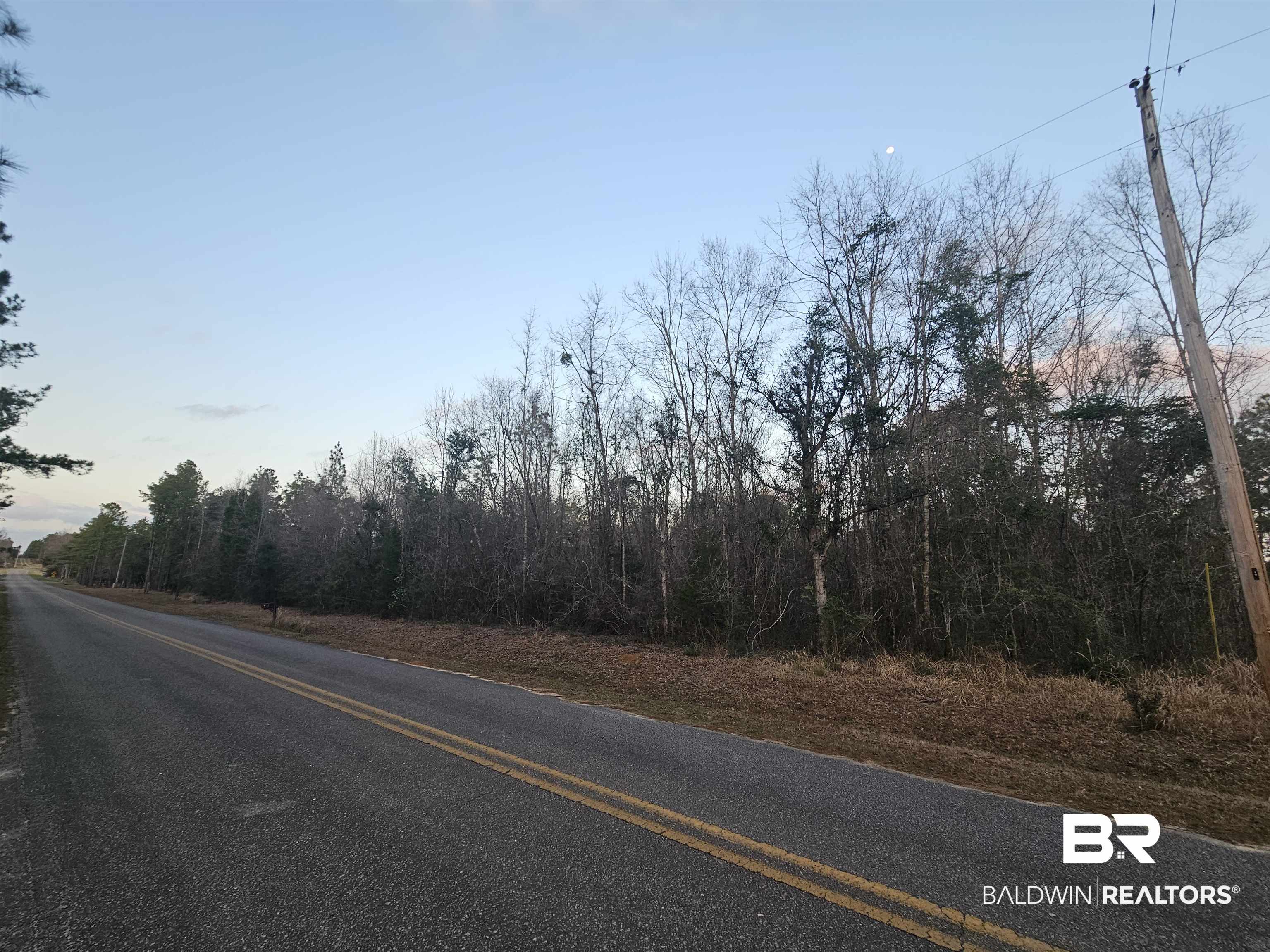 0 Lee Road Robertsdale, AL 36567 - Photo 4 of 4 Gallery Image 4