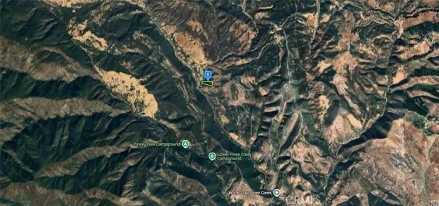 a view of a city with lush green forest