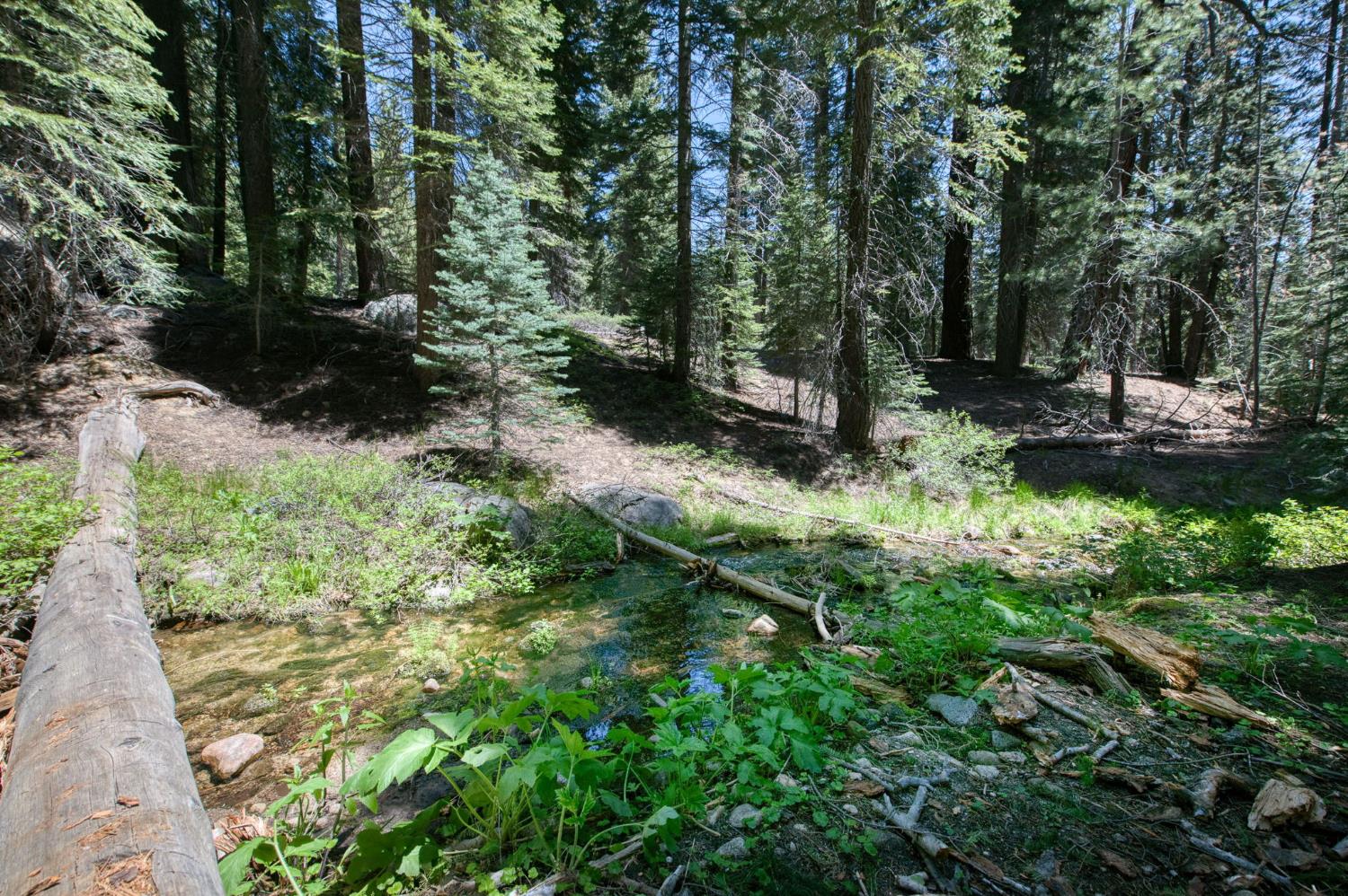 61480 Huntington Lake Road, Unit 5 Mono Hot Springs, CA 93642 - Photo 48 of 51