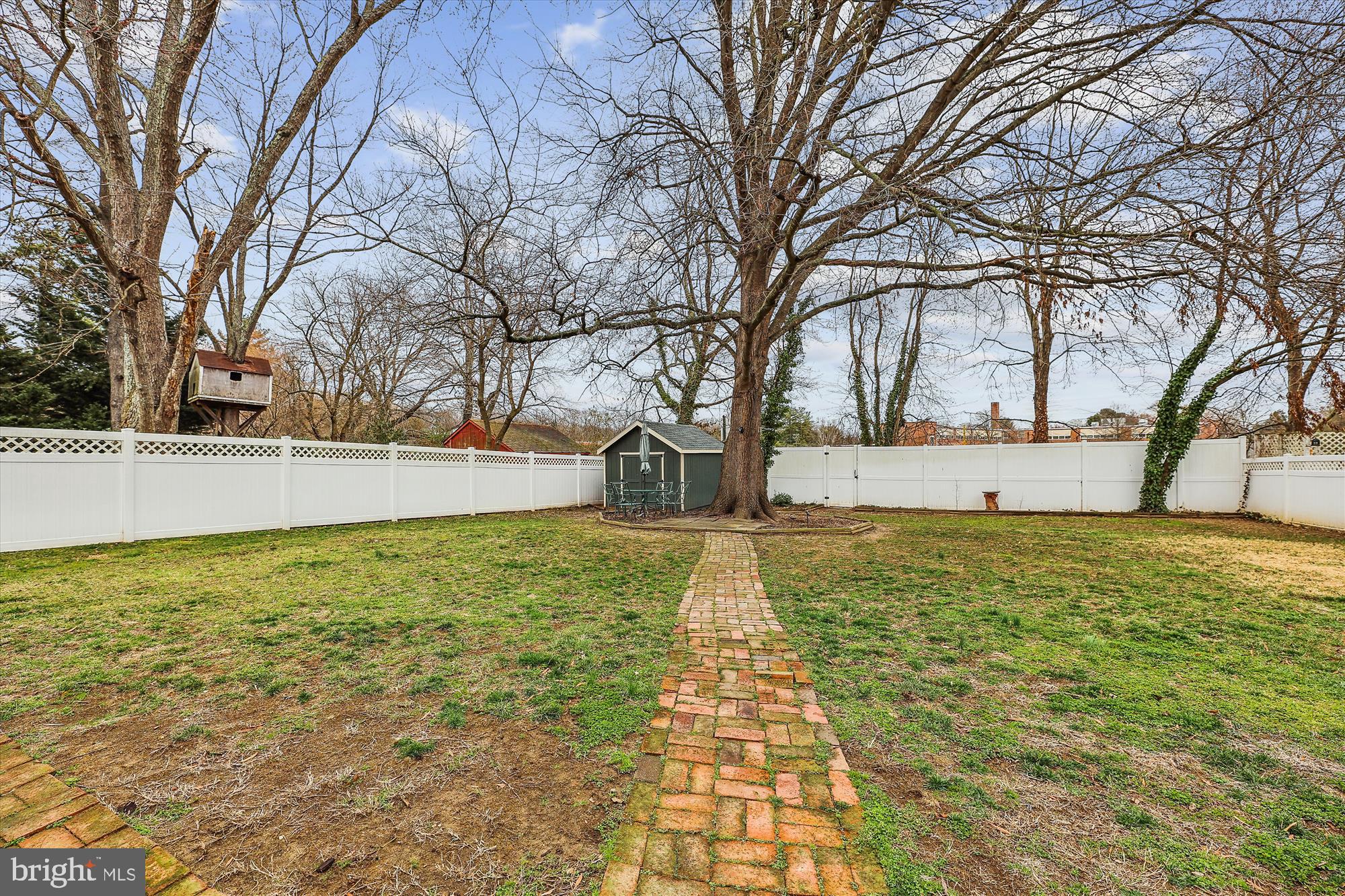 1611 Baltimore Road Alexandria, VA 22308 - Photo 26 of 49 Spacious Flat Fenced in Yard