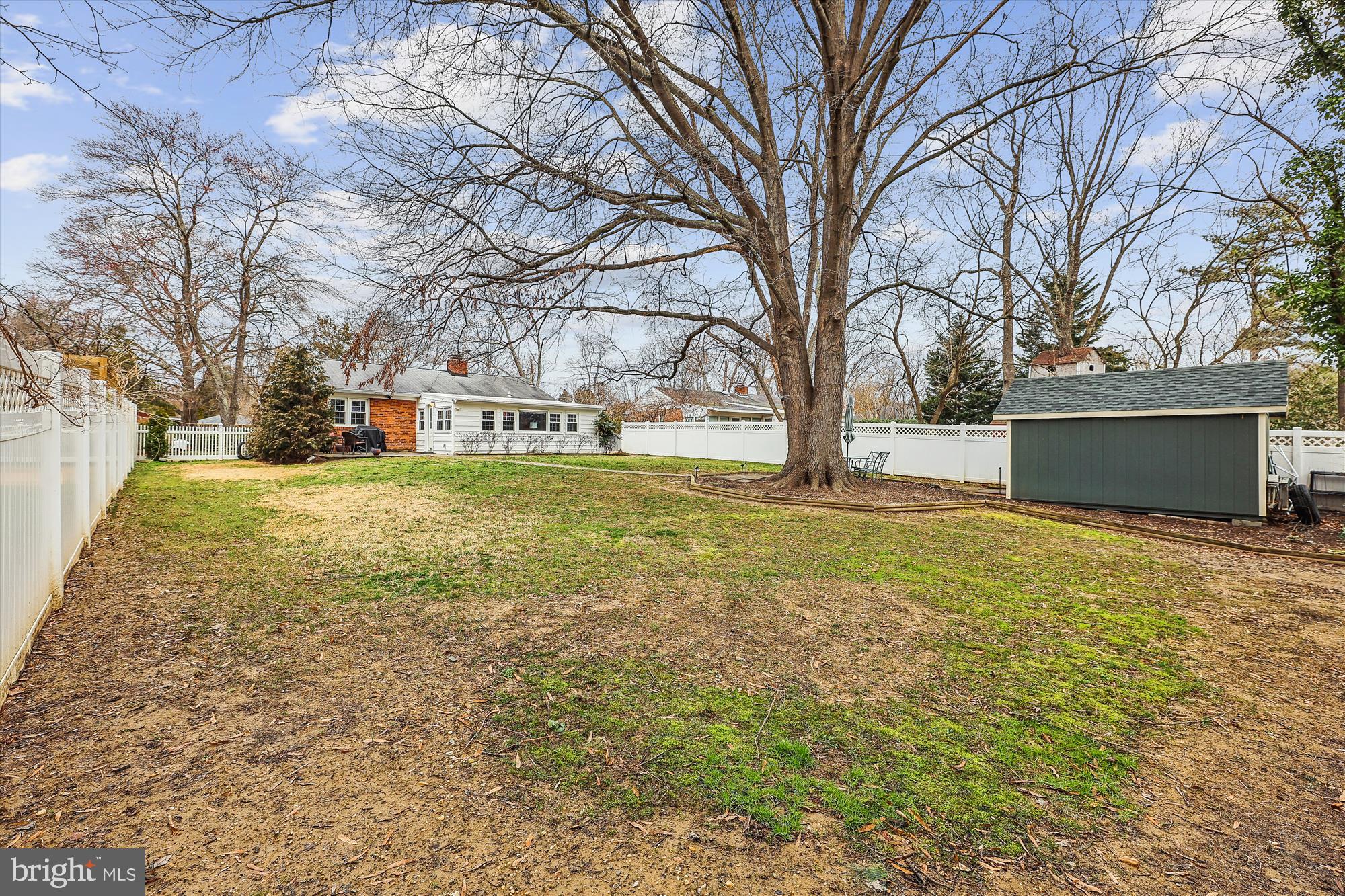 1611 Baltimore Road Alexandria, VA 22308 - Photo 29 of 49 View from yard to house