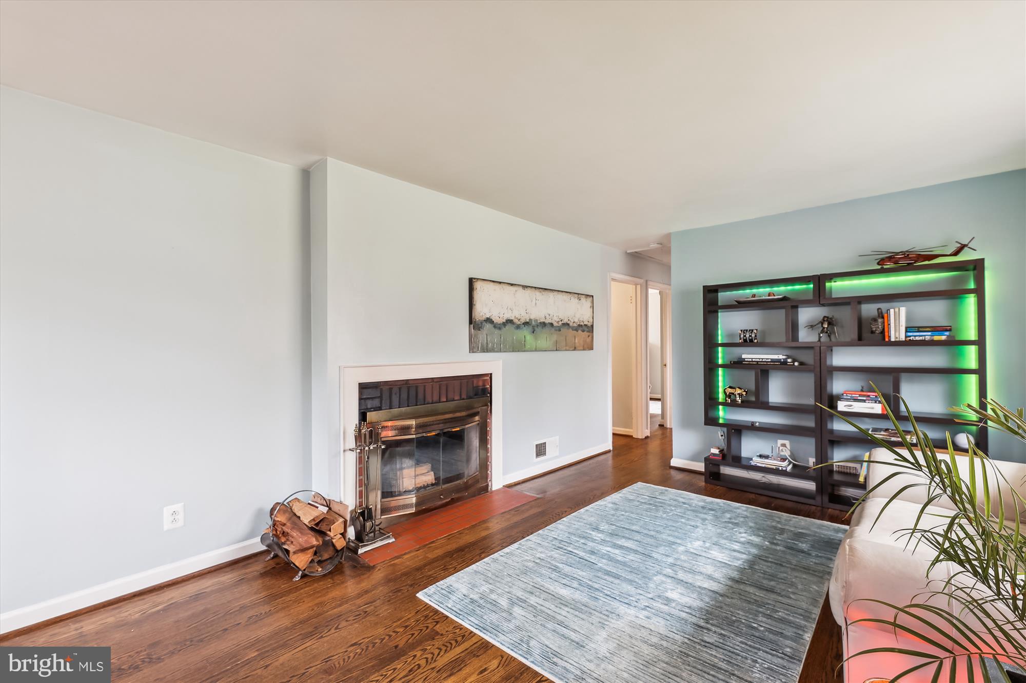 1611 Baltimore Road Alexandria, VA 22308 - Photo 9 of 49 Cozy Wood Burning Fireplace