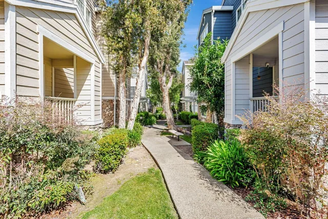 a backyard of a house with plants and garden