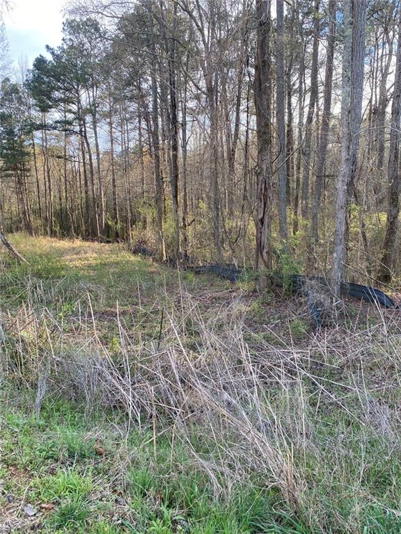 190 Chapel Heights Way Covington, GA 30016 - Photo 11 of 13