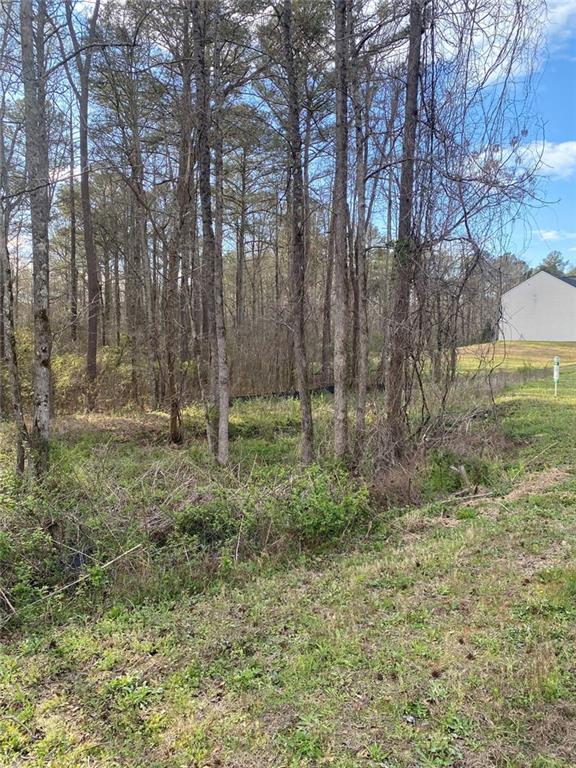 190 Chapel Heights Way Covington, GA 30016 - Photo 9 of 13